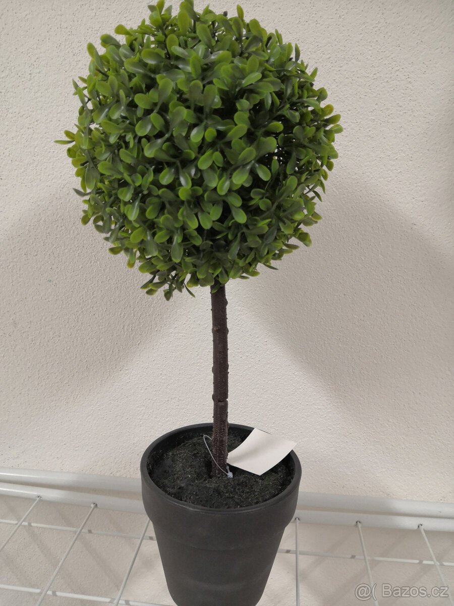 Umělý buxus