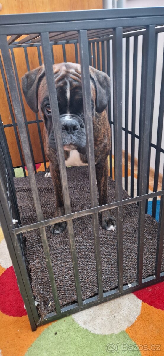 Velmi kvalitní klec pro psy