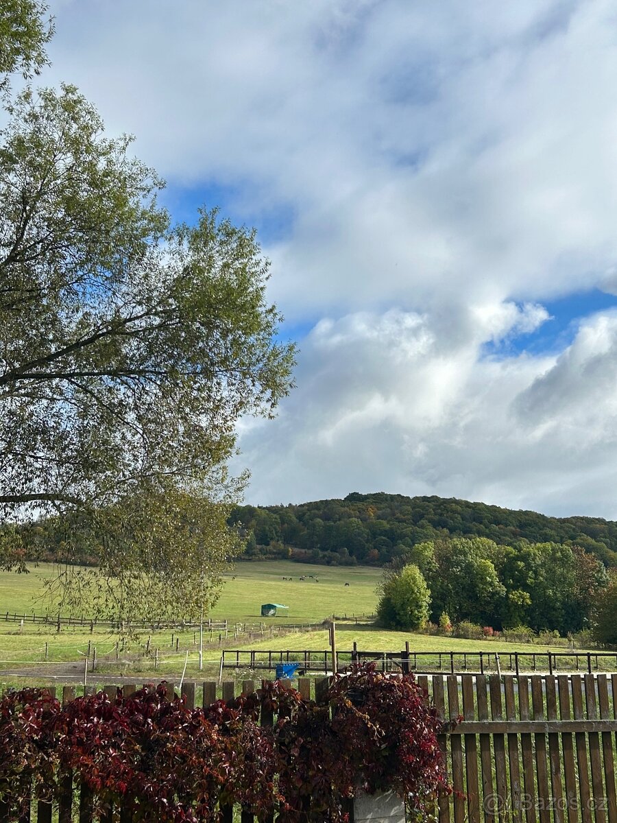 Nabízíme pastevní a boxové ustájení
