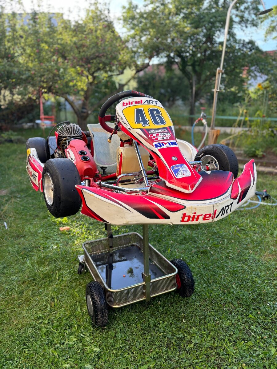 Kart Birel Easykart 60cc