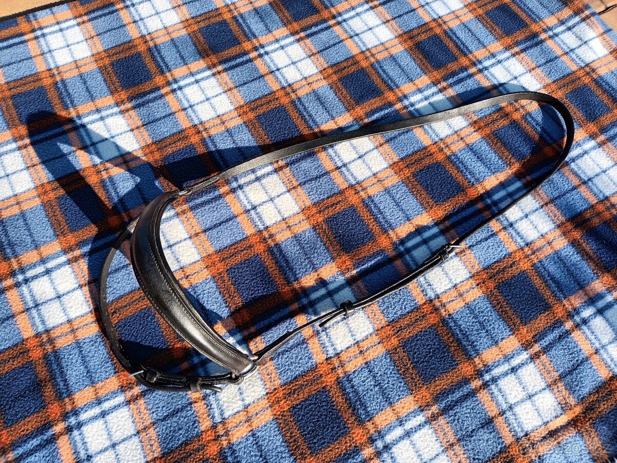 Hannoverský nánosník