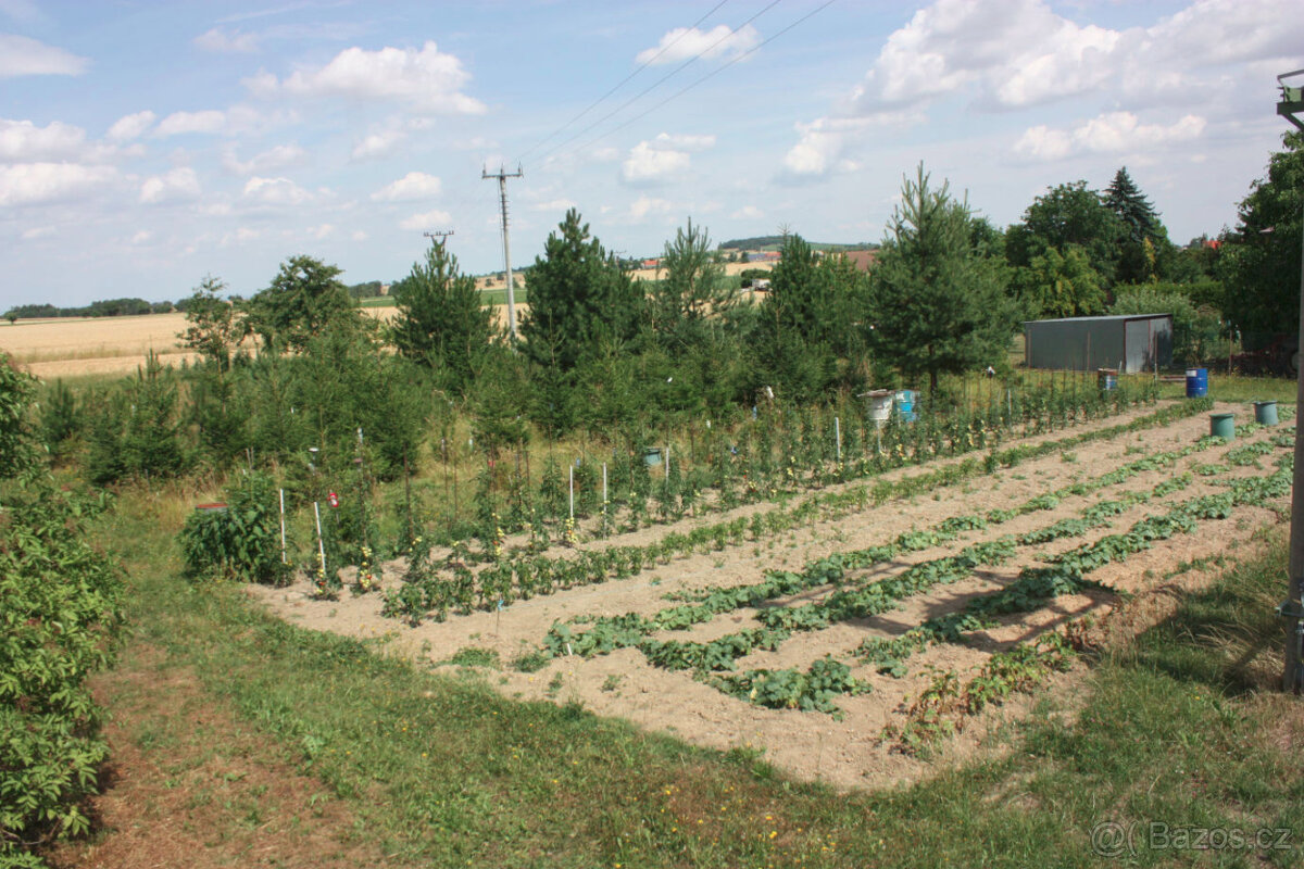Prodej Vidice u Kutné Hory, pozemek, zahrada 1.478 m2