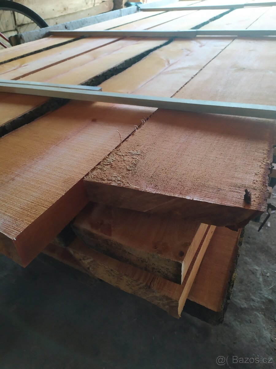 Fošny olše lepkavá