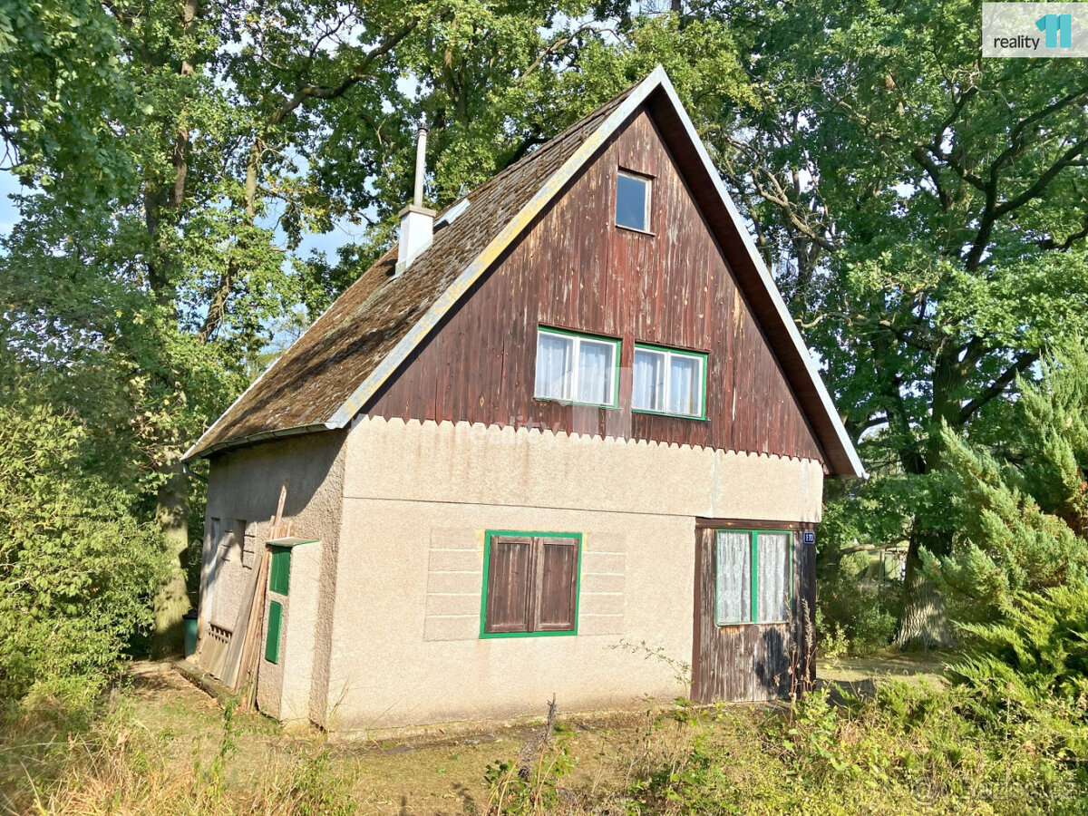 Prodej, chata, Pňovany