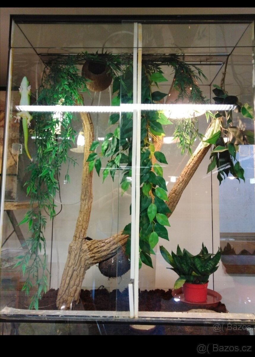 Terárium 40x40x80 nové .Vhodné pro chameleony a jine stromov