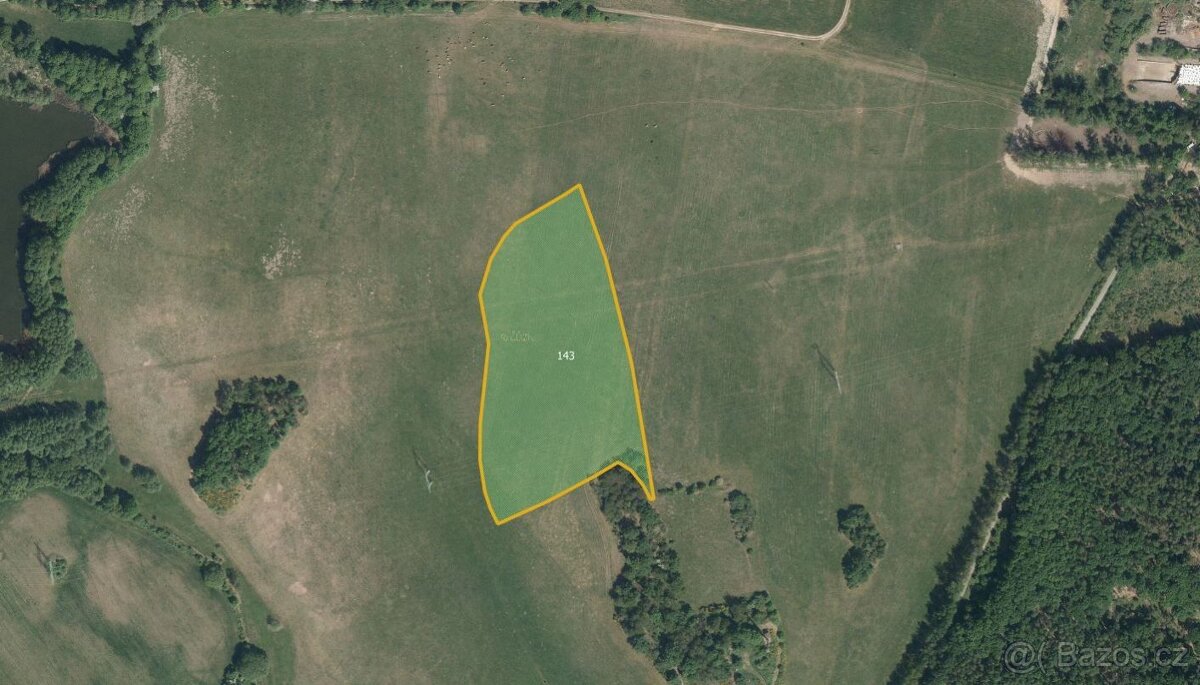 Louka, prodej, Morašice, Pardubice