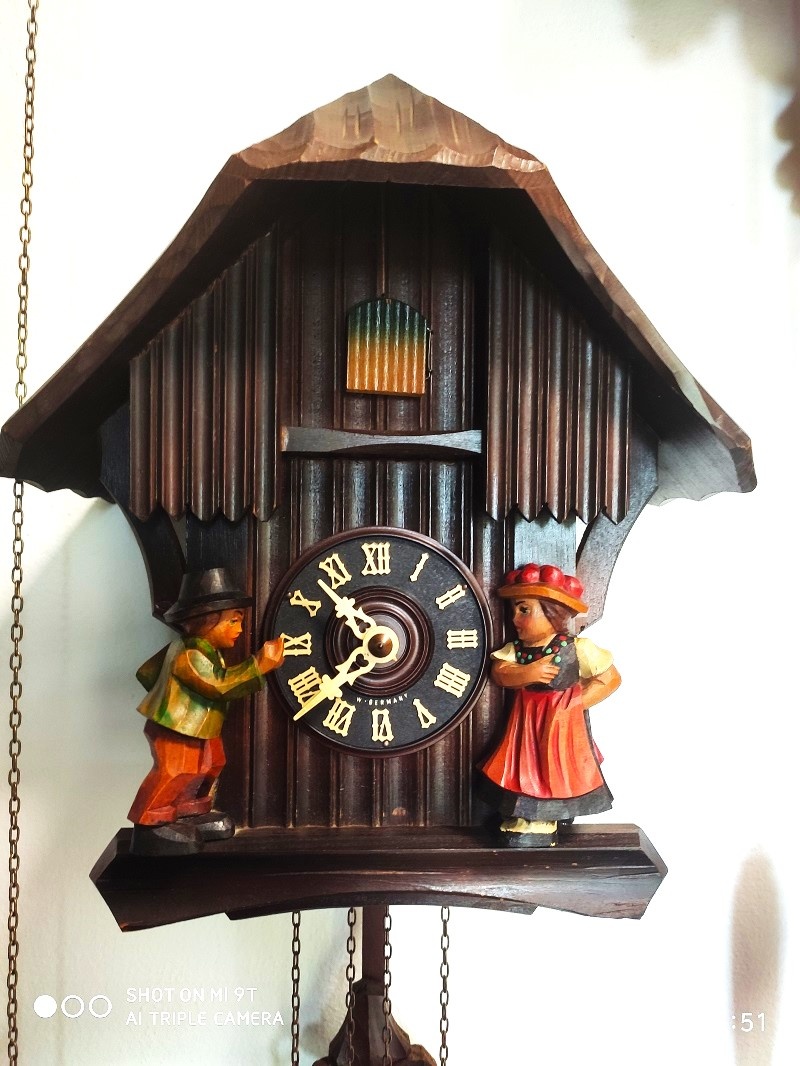 Starsi,  kukacky, Schwarzwald, funkcni