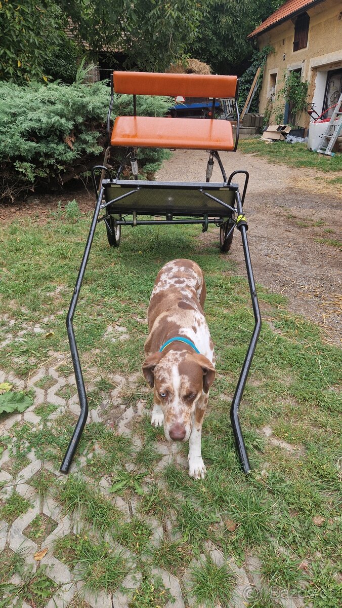 Prodám sulku za koně/ pony