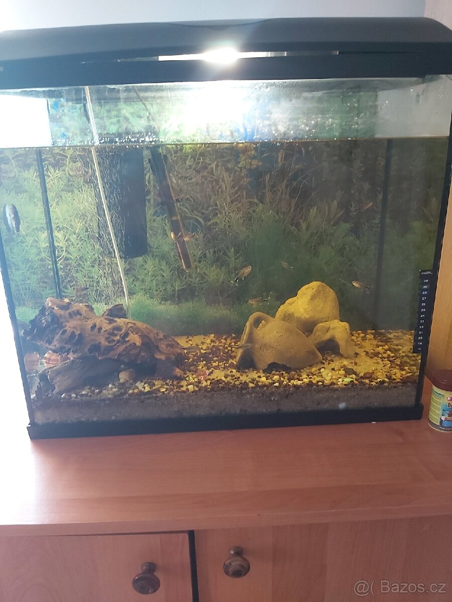 Akvarium