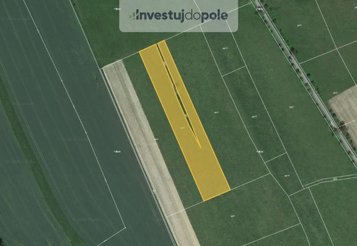 Prodej pole 8 023 m², Police nad Metují - Velká Ledhuje