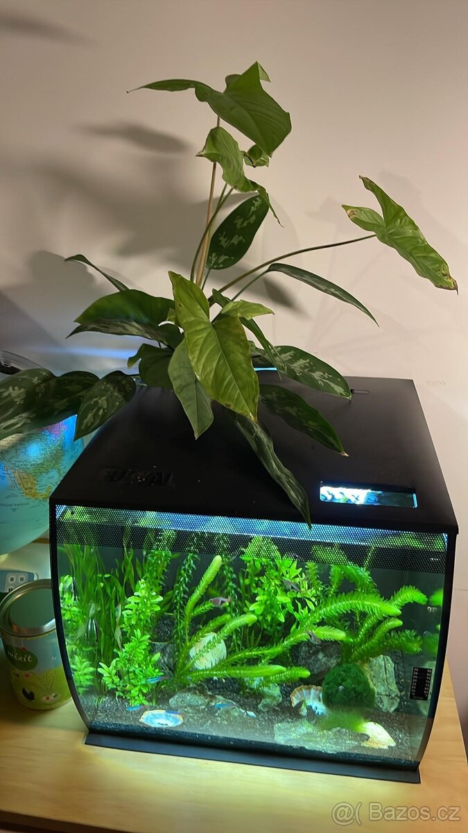 Prodám skvělé akvárko pro rybičky Fluval Flex 57 L