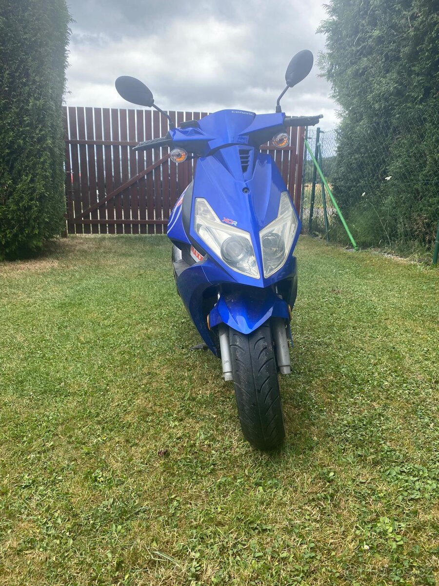 Kentoya 50