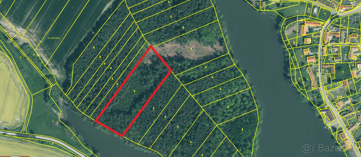 Prodej lesa Borovany 1,3225ha