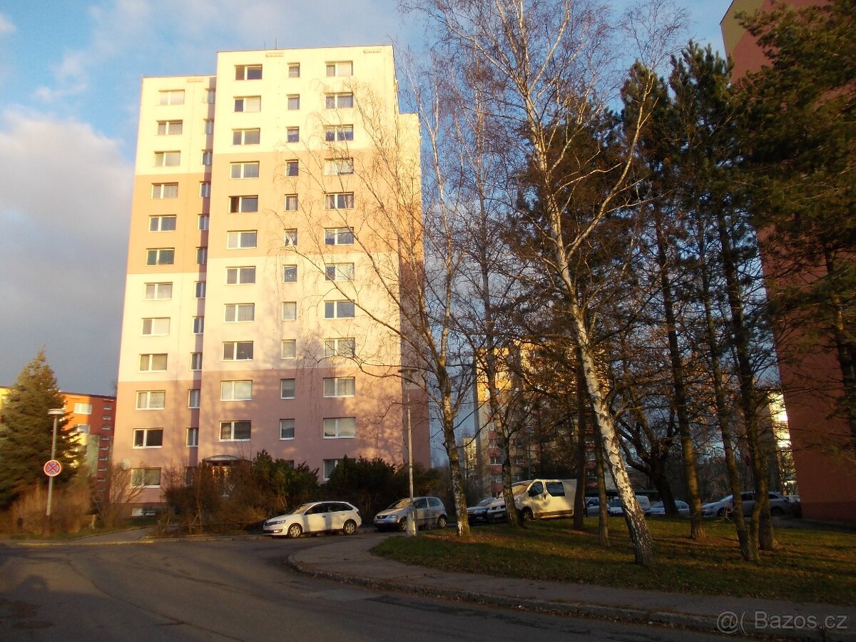 Pronajmu byt 1+1 v Liberci