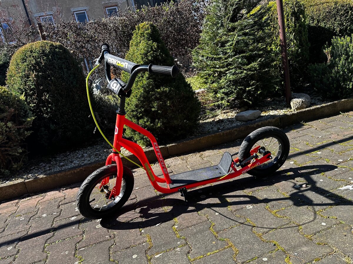 Dětská koloběžka Arcore Rakoon 12”