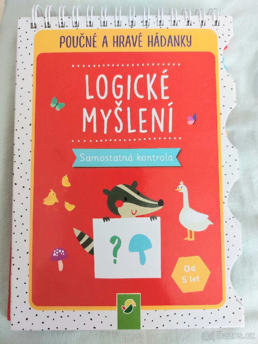 Logické myšlení. Samostatná kontrola.