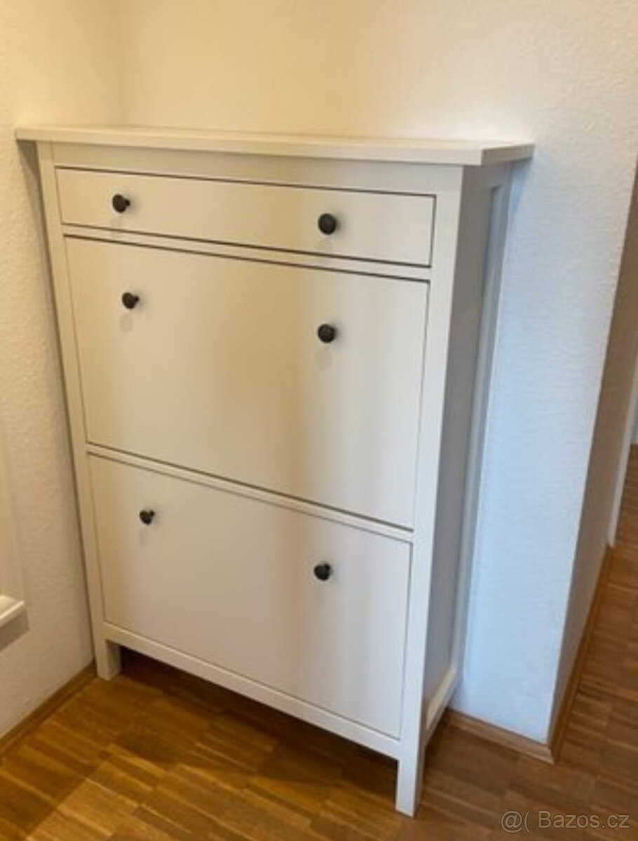 BOTNÍK HEMNES V LESKU