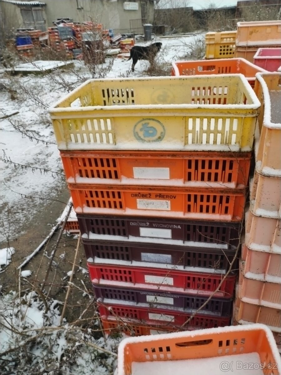 Prodám plastové bedýnky F.