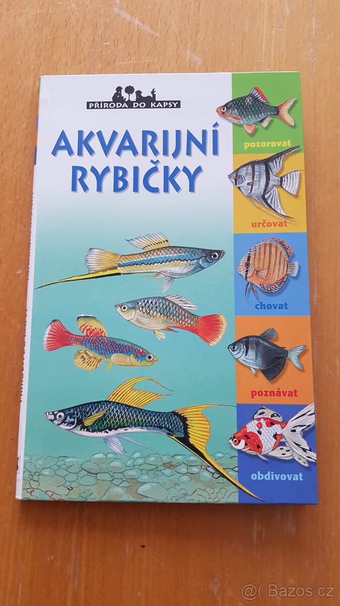 Akvarijní rybičky