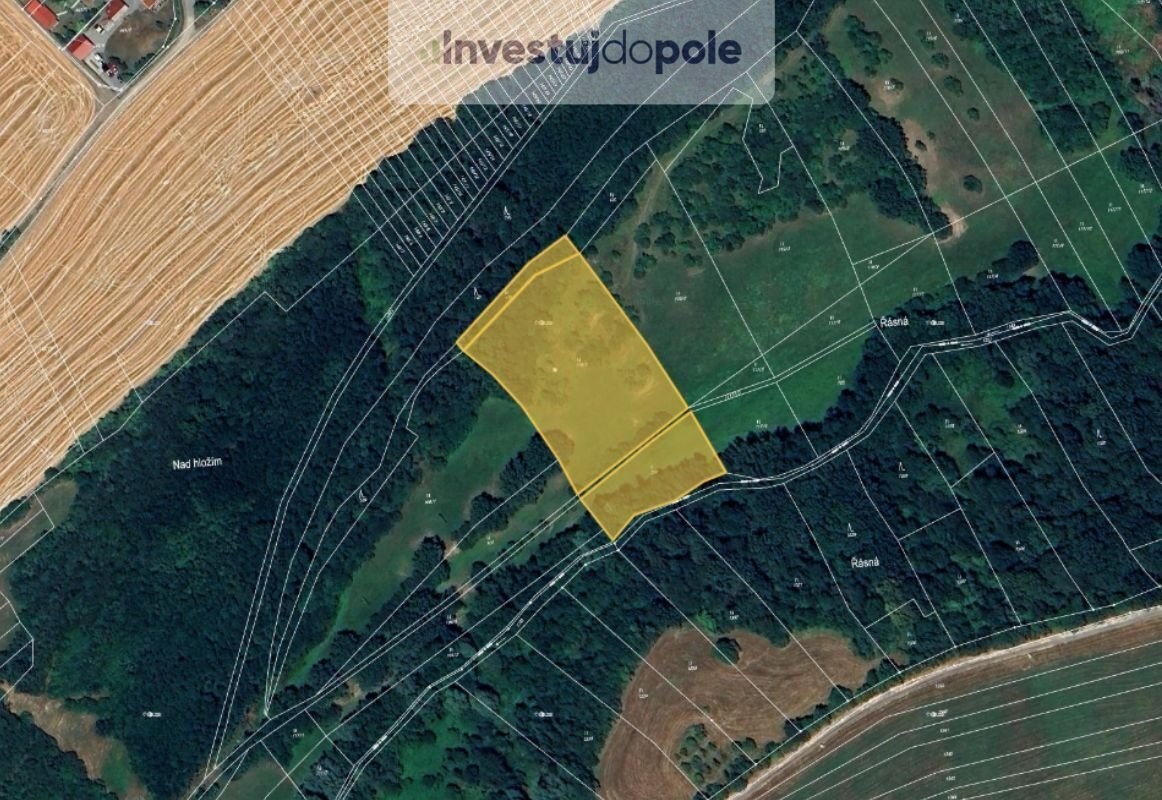Prodej podílu 1/4 louky 2 866 m², Částkov