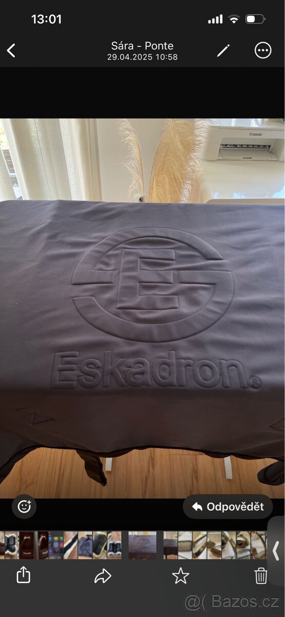 Eskadron odpocka