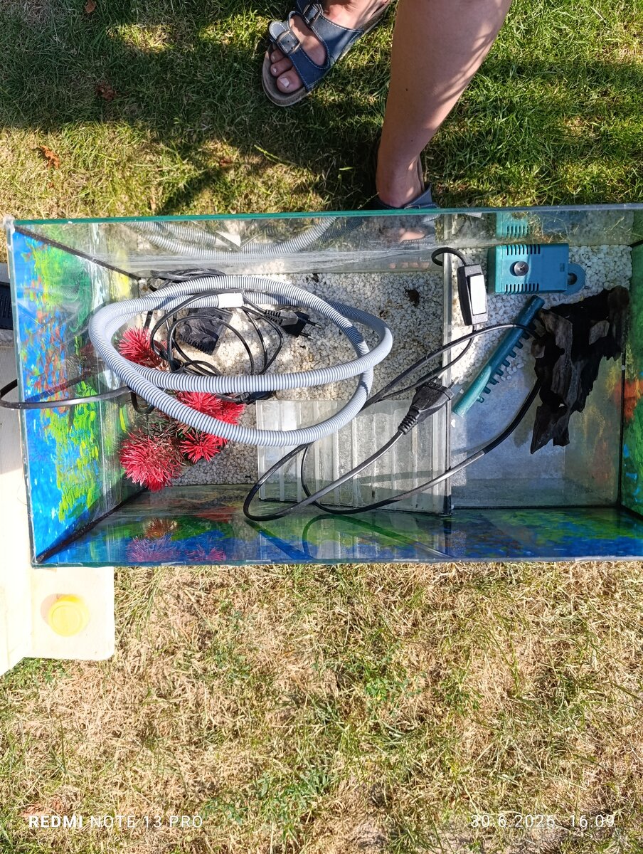 Zelvarium