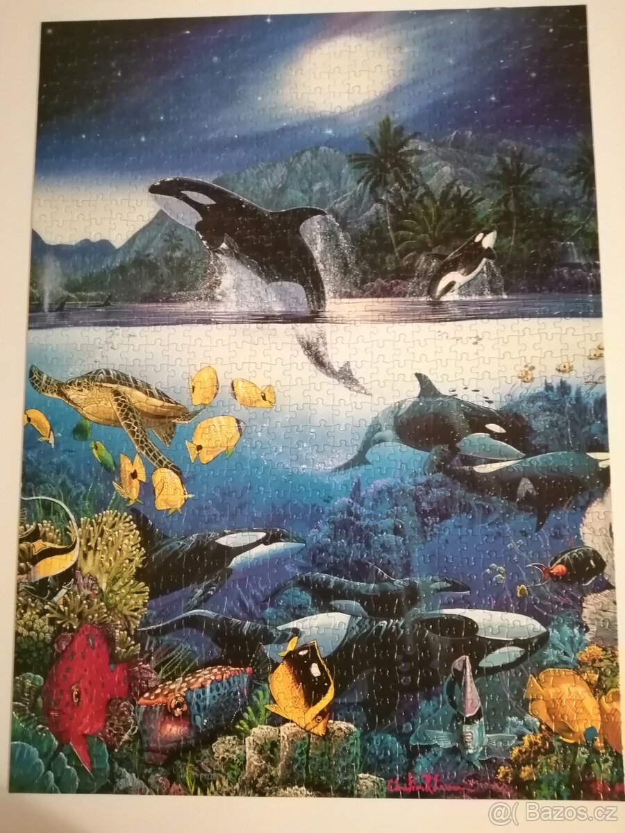 Puzzle 1000