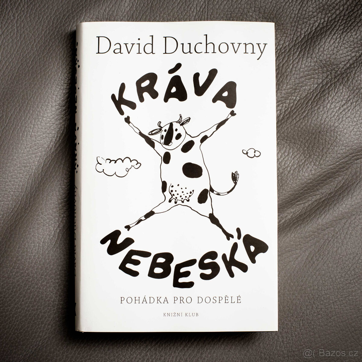 David Duchovny, Kráva nebeská