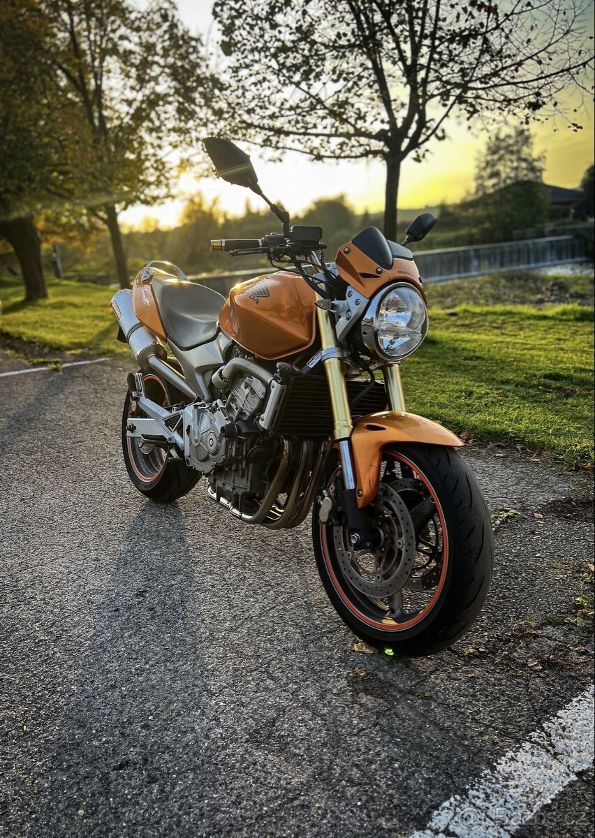 Honda Hornet