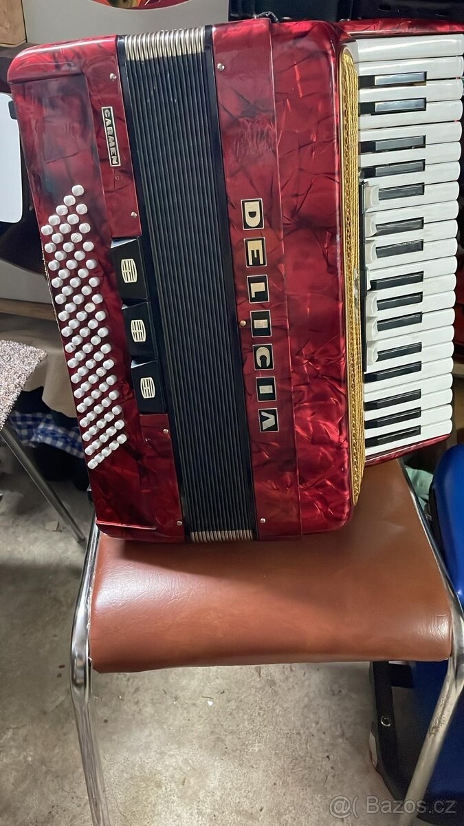 Harmonika Delicia carmen