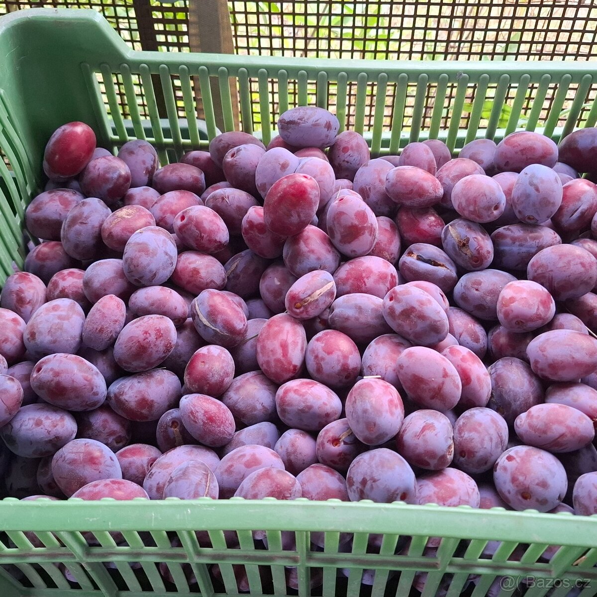 Švestky