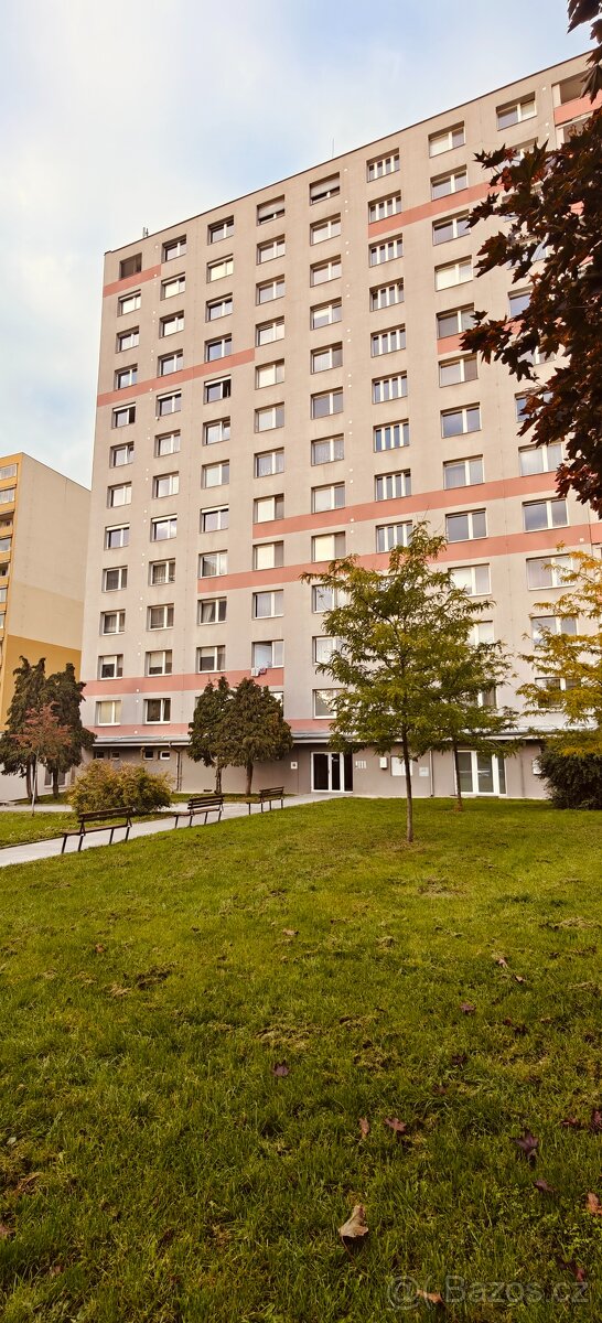 Prodej/Výměna bytu 2+1 - Brno Žabovřesky