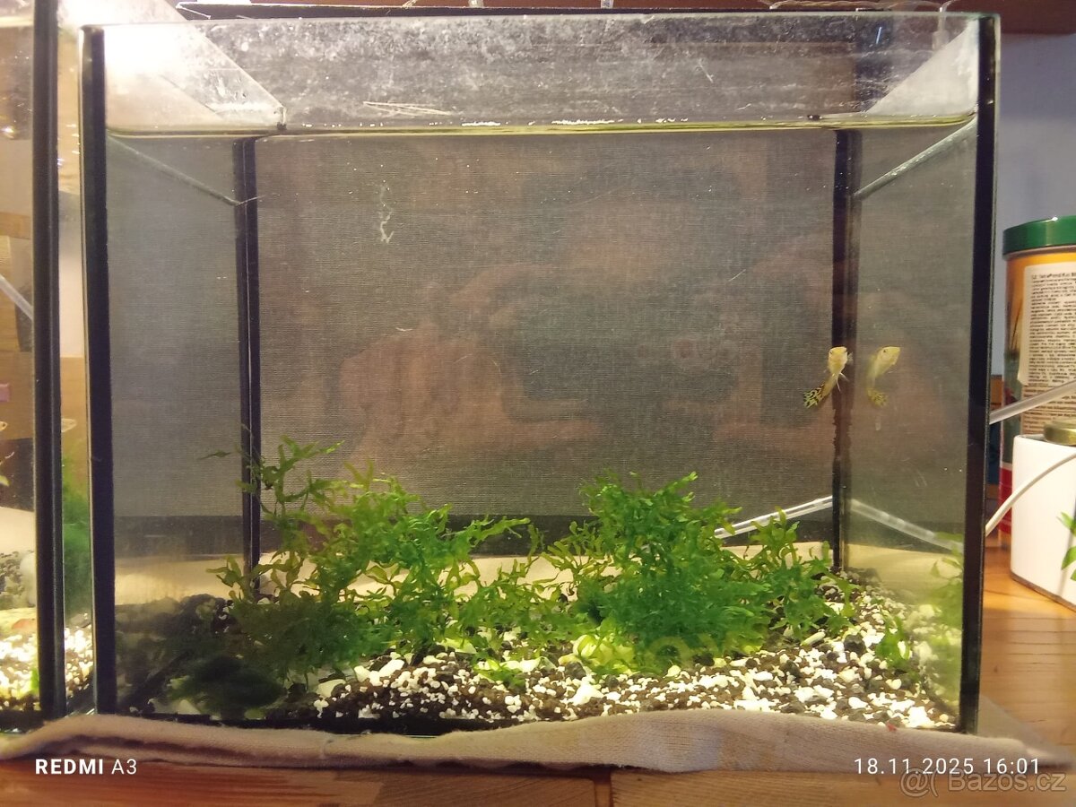 Akvarium cca 9l