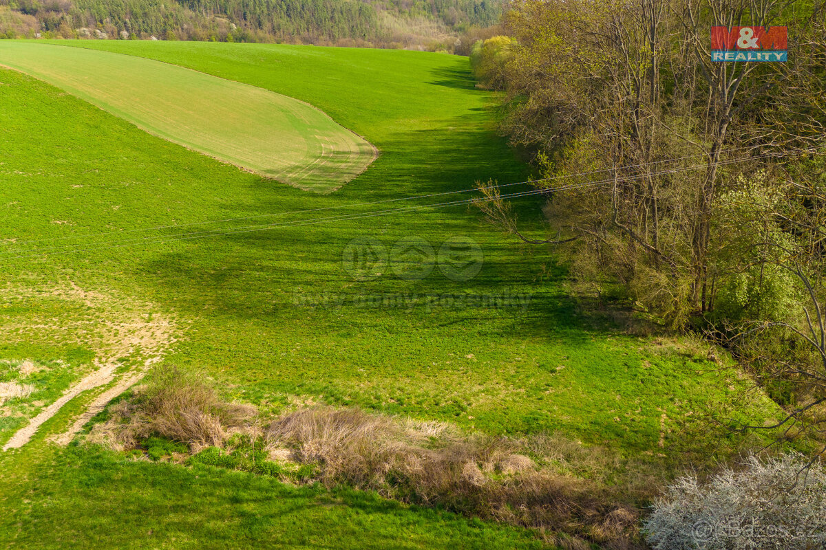 Prodej pole, 4100 m², Bílá Lhota