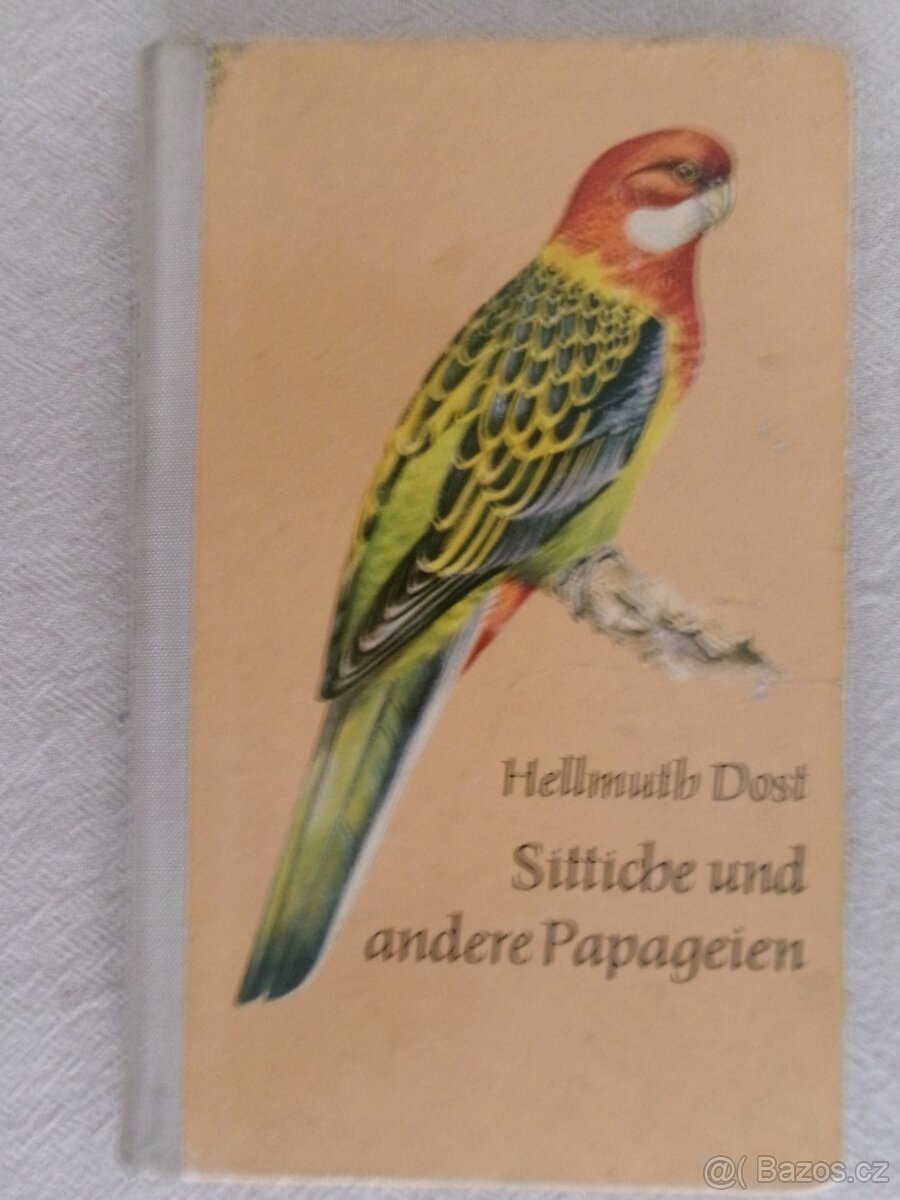 Sittiche und andere Papageien.