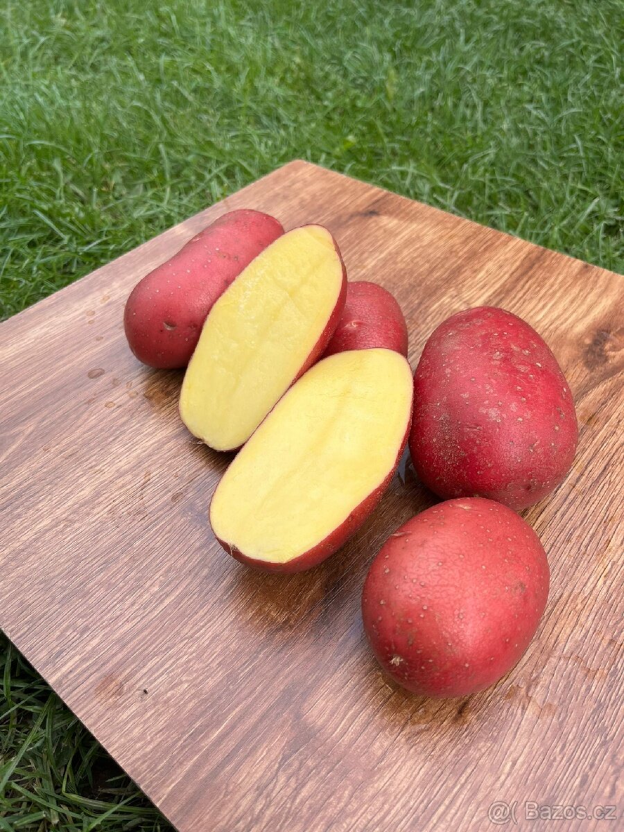 Brambory na uskladnění, konzumní, červené