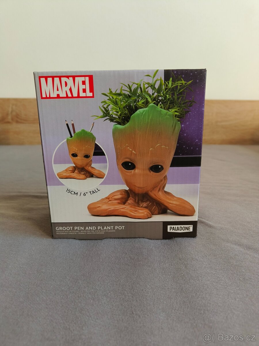 Groot