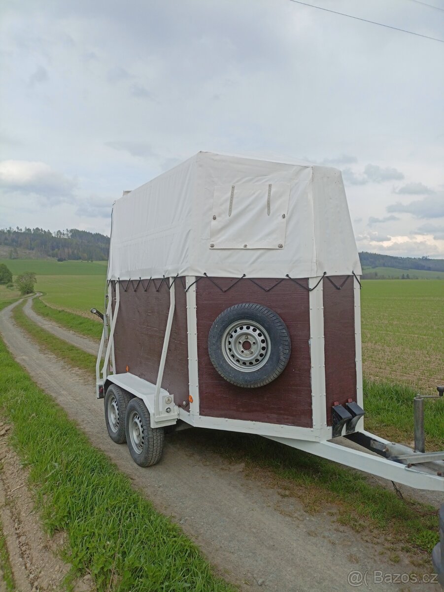 Pronájem přepravníku, přeprava zvířat , auto přepravník.,