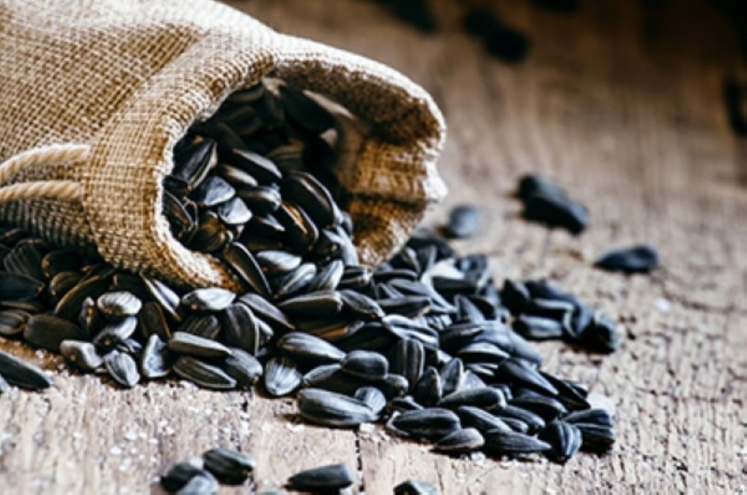 Slunečnicová semínka