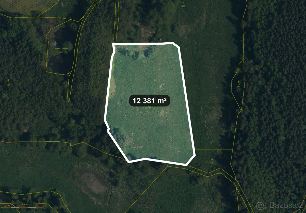 Prodej zemědělská půda, 12 381 m2 - Lom u Tachova