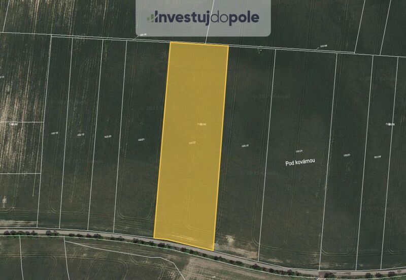 Prodej pole v k.ú. Horní Slivno