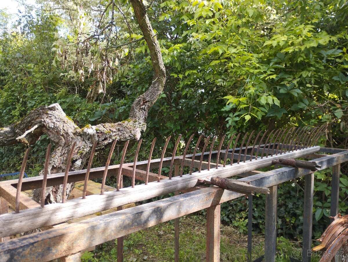 Hrabě