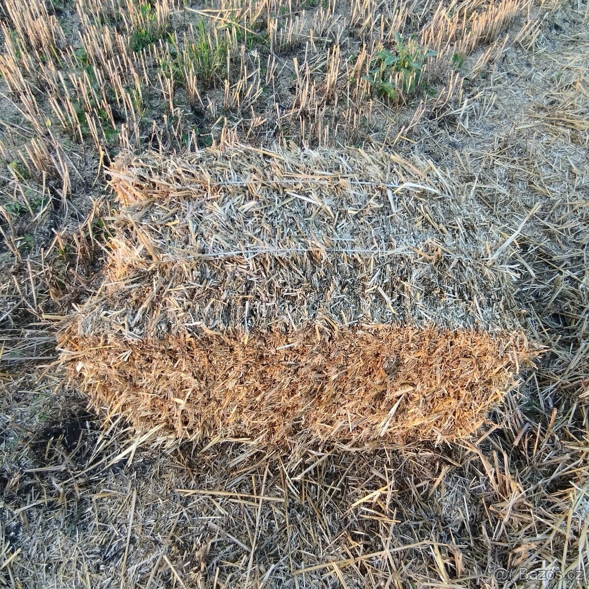 Pšeničná sláma letošní sklizeň malé hranaté balíky