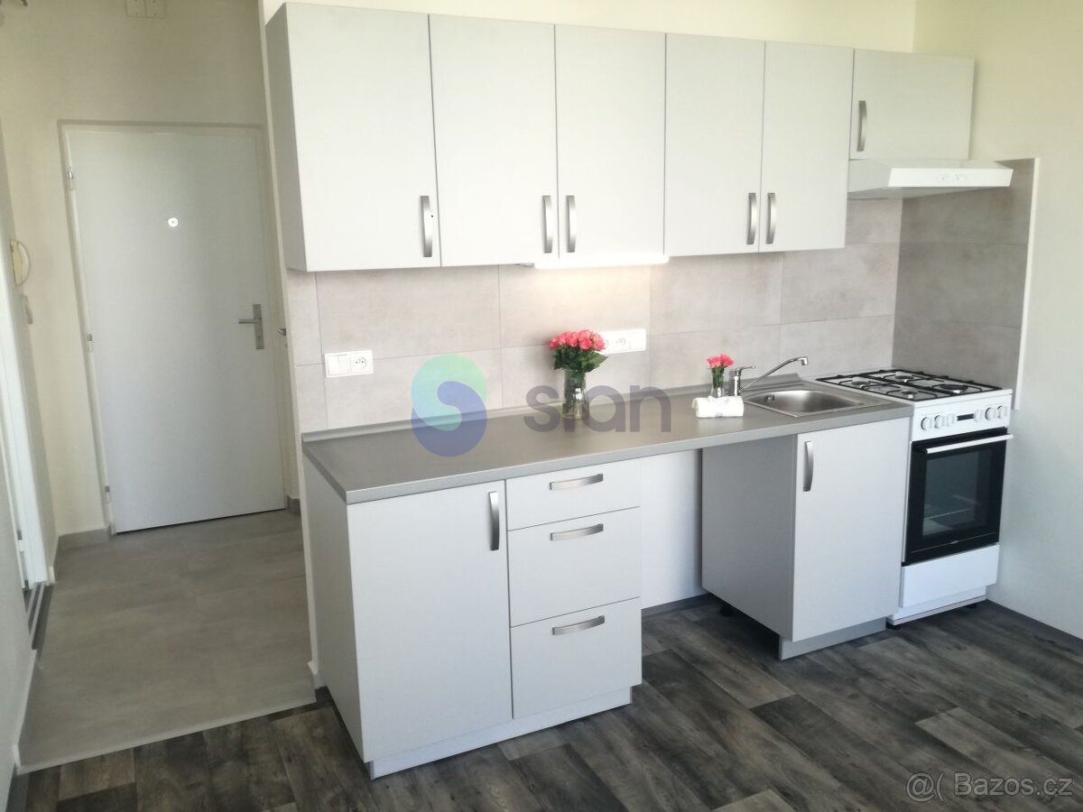 Podnájem bytu 1+1 38 m2, ul. Výškovická 2566/70, Ostrava - Z