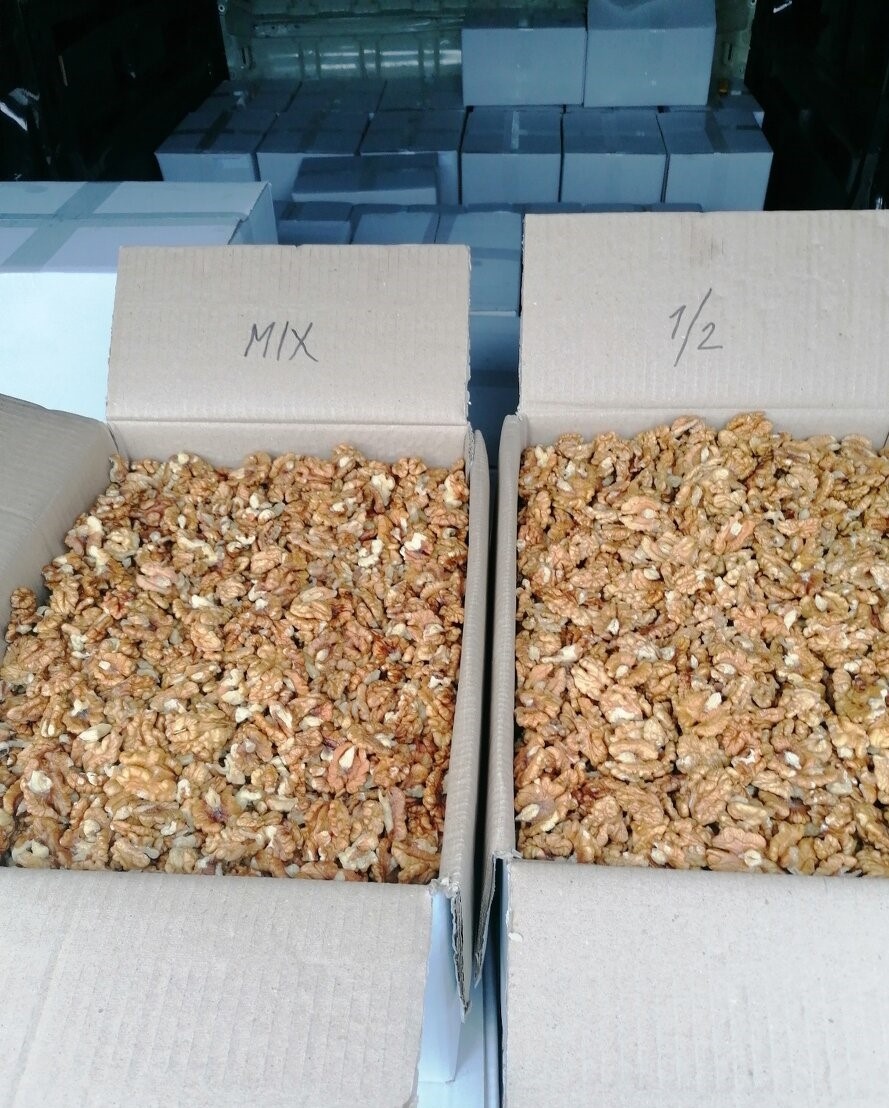 Vlašské orechy Nové 2025