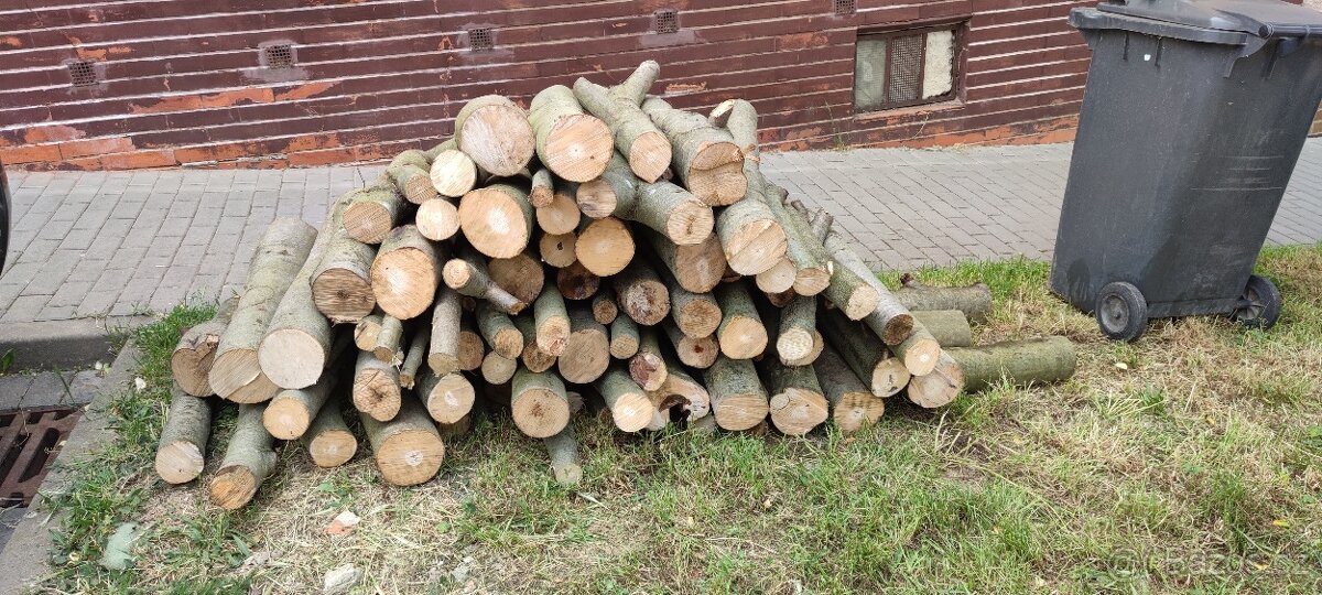 Palivové dřevo,suché, mokré, měkké,tvrdé