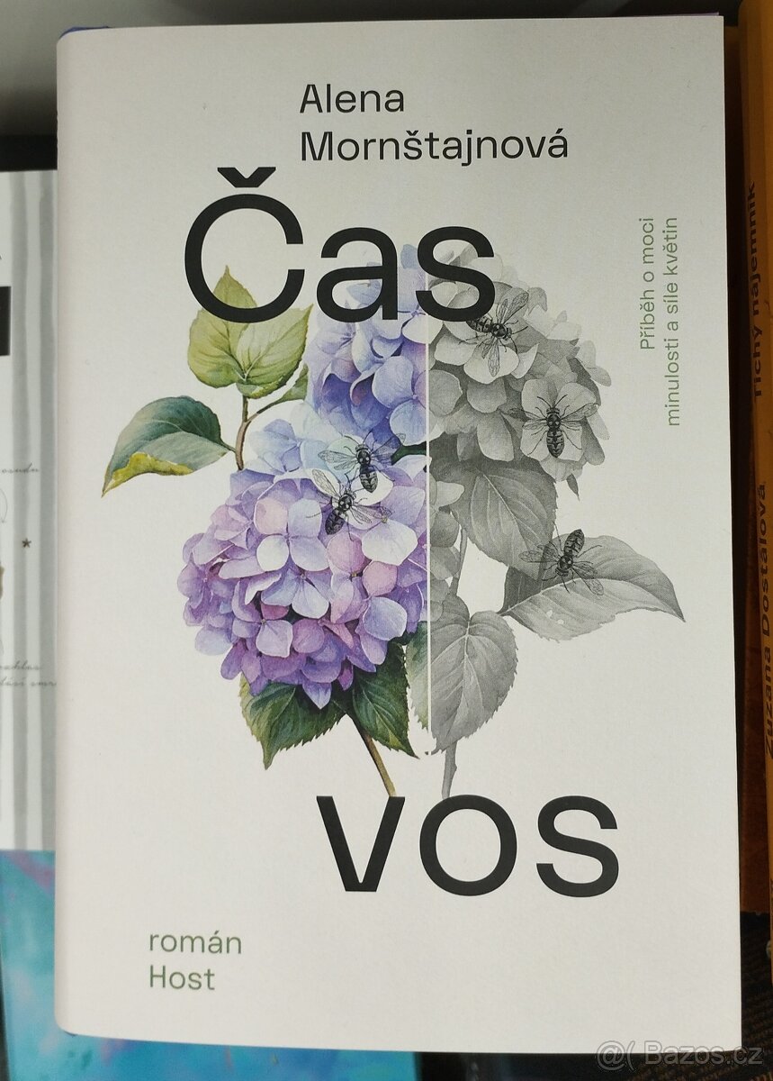 ALENA MORNŠTAJNOVÁ - Čas vos
