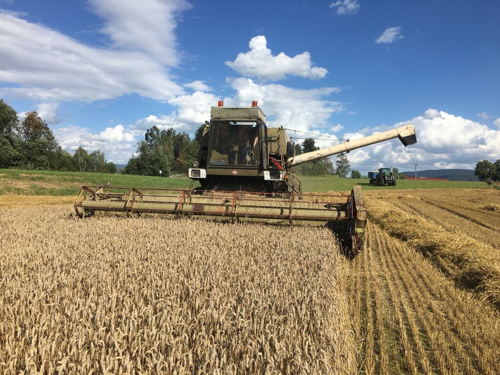 Kombajn, sklízecí mlátička Fortschritt e 516 B