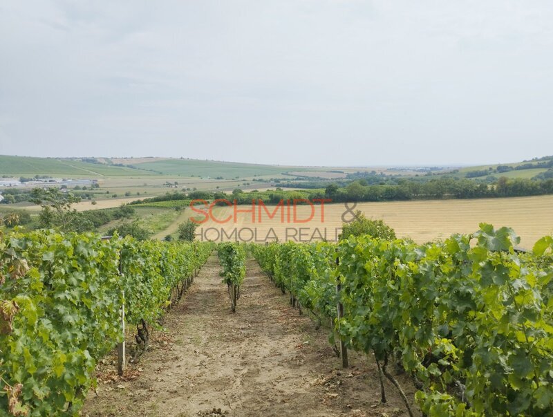 Vinice v Kobylí s možností vybudovat sklípek