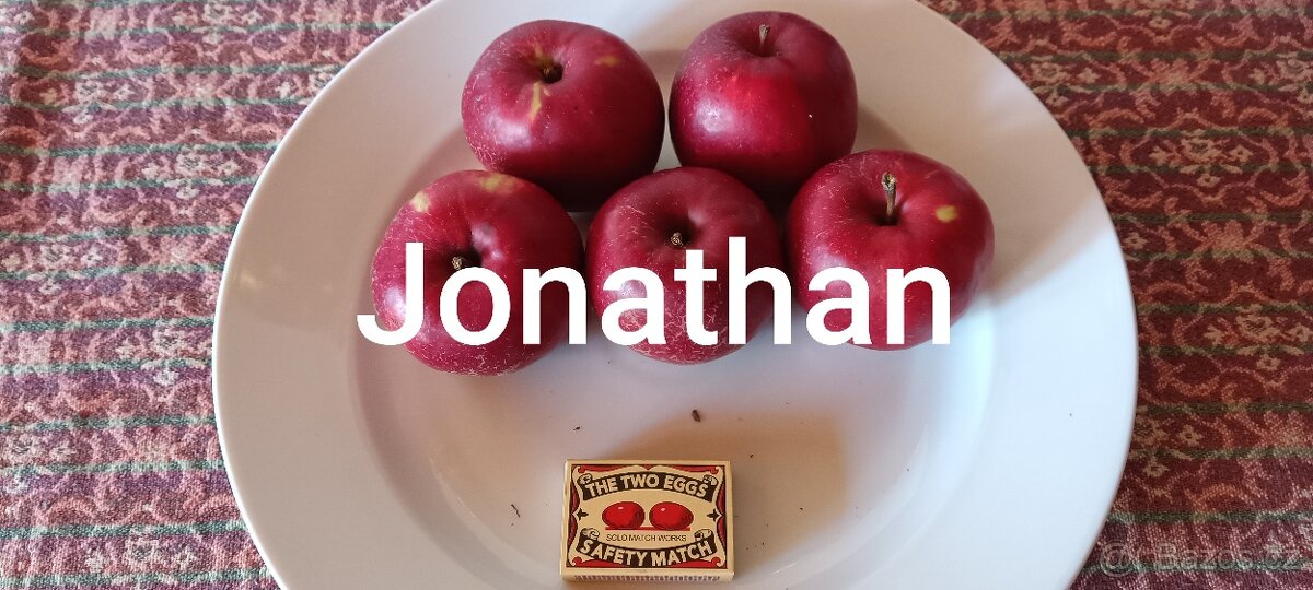Prodám česaná jablka Jonathan bez postřiků